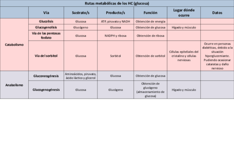 Tabla-metabolismo-HC.pdf