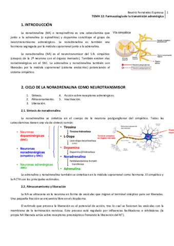 Tema-12Trans-adrenergica.pdf