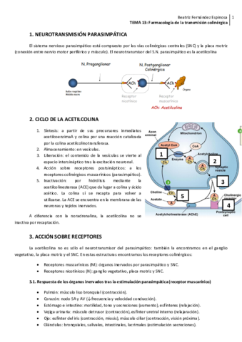 Tema-13Trans-colinergica.pdf