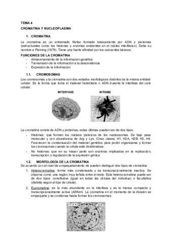 BIOLOGIA-TEMA-4.pdf