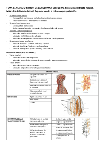 TEMA-8-Anatomia-aparato-locomotor.pdf