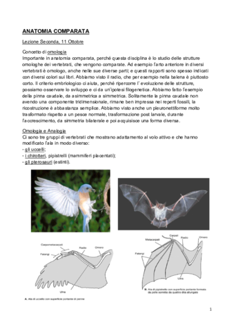 Lezione-2-PDF.pdf