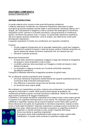 Sistema-Respiratorio-PDF.pdf