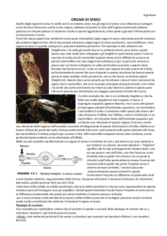 Organi-di-senso-.pdf