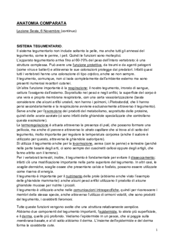 Sistema-Tegumentario-PDF.pdf