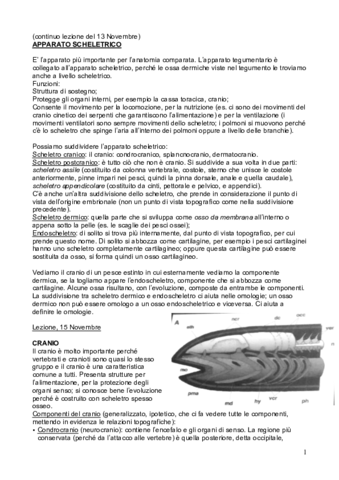 Sistema-Scheletrico-2-PDF.pdf