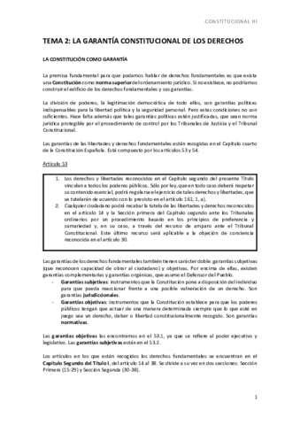 TEMA-2-GARANTIAS.pdf