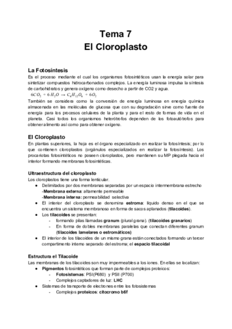 Tema-7-Cloroplastos.pdf