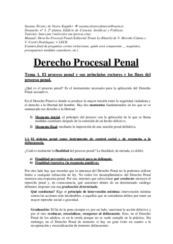 PROCESAL-PENAL.pdf