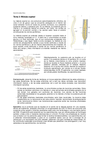 T3.pdf