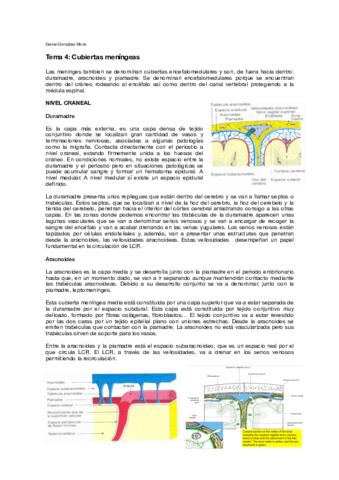 T4.pdf