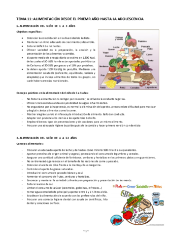 Tema-11-alimentacion-desde-1o-ano-hasta-adolescencia.pdf
