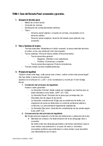 TEMA-1-Fines-del-Derecho-Penal.pdf