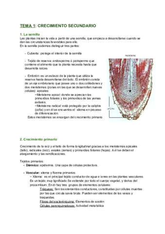 TEMA-1-CRECIMIENTO-SECUNDARIO.pdf