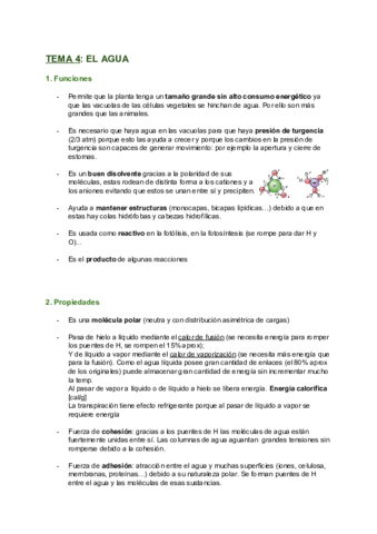 TEMA-4-EL-AGUA.pdf