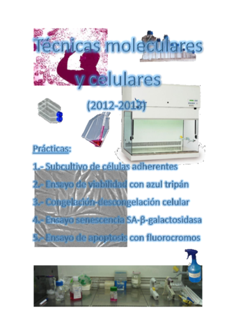 PRÁCTICAS - INFORME CULTIVOS (1).pdf