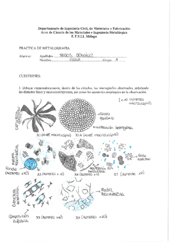 PRACTICAS-CIENCIA-DE-MATERIALES.pdf