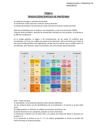 Tema-5-Bioquimica.pdf