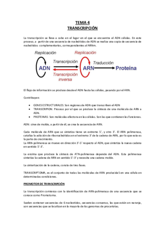 Tema-4-Bioquimica.pdf