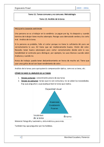 Tema 11 y 12.pdf