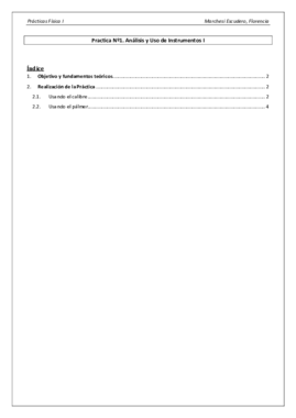 Práctica Nº 1 - Análisis de instrumentos I.pdf