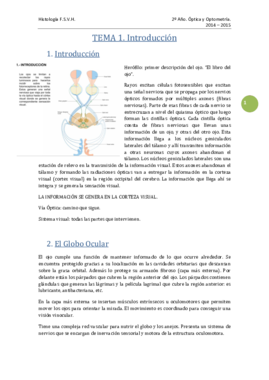 TEMA 1 - Introducción.pdf