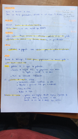WhatsApp-Image-2019-05-11-at-12.jpg