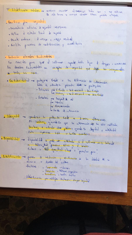 WhatsApp-Image-2019-05-11-at-12.jpg