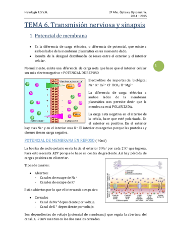 TEMA 6 - Transmisión nerviosa y sinapsis.pdf