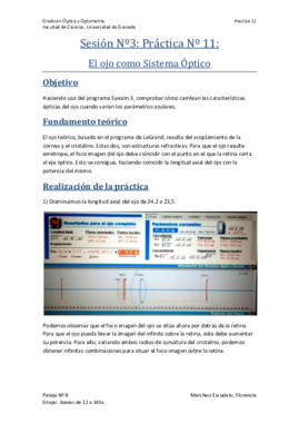 Práctica Nº 11 - El ojo como Sistema Óptico.pdf