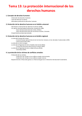 Tema-13-La-proteccion-internacional-de-los-derechos-humanos.pdf