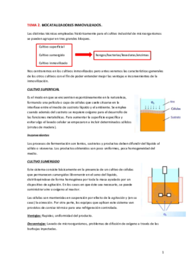TEMA 2-BIOCATALIZADORES INMOVILIZADOS.pdf