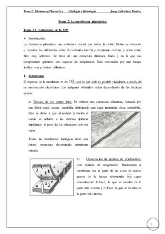 Tema 2 - La MP.pdf