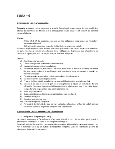 TEMA-6.pdf
