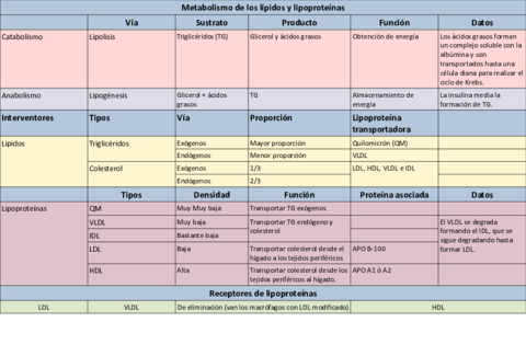 Tabla-metabolismo-lipidos.pdf