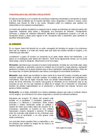 2-PDF-Funcionalidad-del-Sistema-Circulatorio.pdf