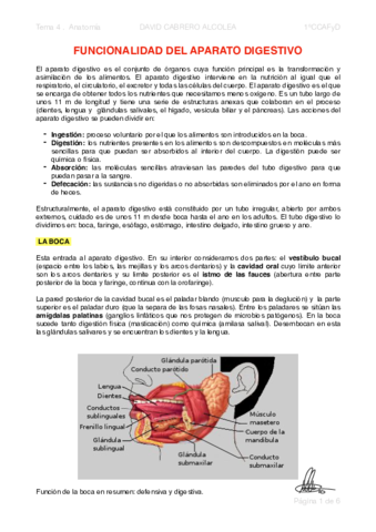 4-PDF-Funcionalidad-del-aparato-digestivo-.pdf
