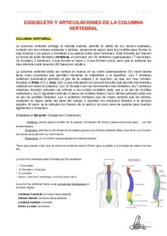 9-PDF-Esqueleto-y-articulaciones-de-la-columna-vertebral.pdf