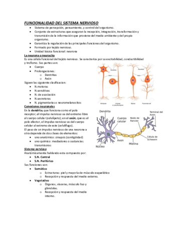 8-PDF-funcionalidad-del-sistema-nervioso.pdf