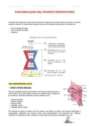 3-PDF-Funcionalidad-del-Aparato-Respiratorio.pdf
