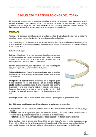 10-PDF-Esqueleto-y-Articulaciones-del-Torax.pdf