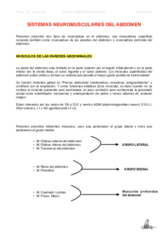 13-PDF-Sistemas-neuromusculares-del-ABDOMEN.pdf