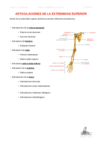 18-PDF-Articulaciones-de-la-extremidad-superior.pdf