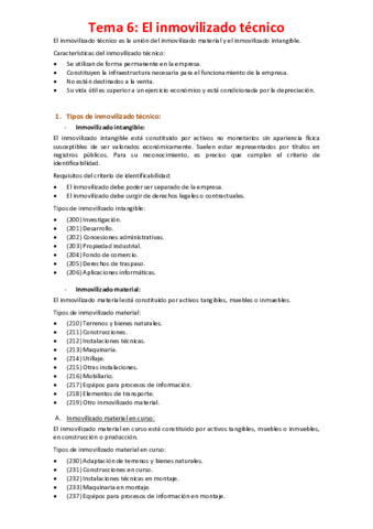 Tema-6-El-inmovilizado-tecnico.pdf