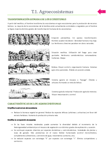 GRN-bioticos.pdf
