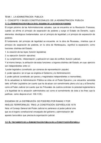 tema 1 .pdf