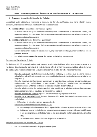 TEMA-1.pdf