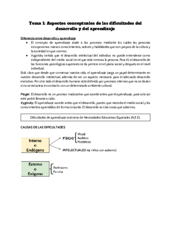 Copia-de-Tema-1-dificultades.pdf