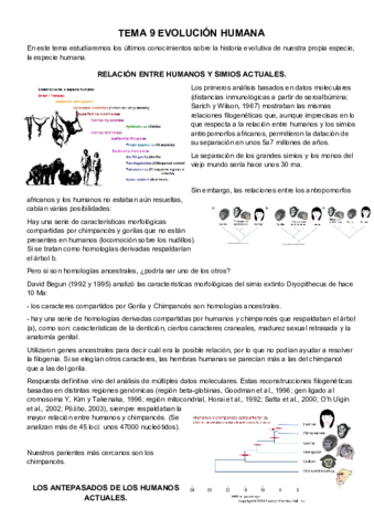 TEMA-9-EVOLUCION-HUMANA.pdf