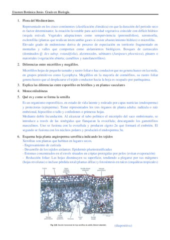 Examen-Botanica-Junio.pdf